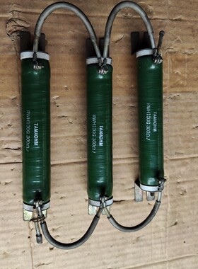 进囗电阻 日本 TAMAOHM??RWH100G????300ΩJ