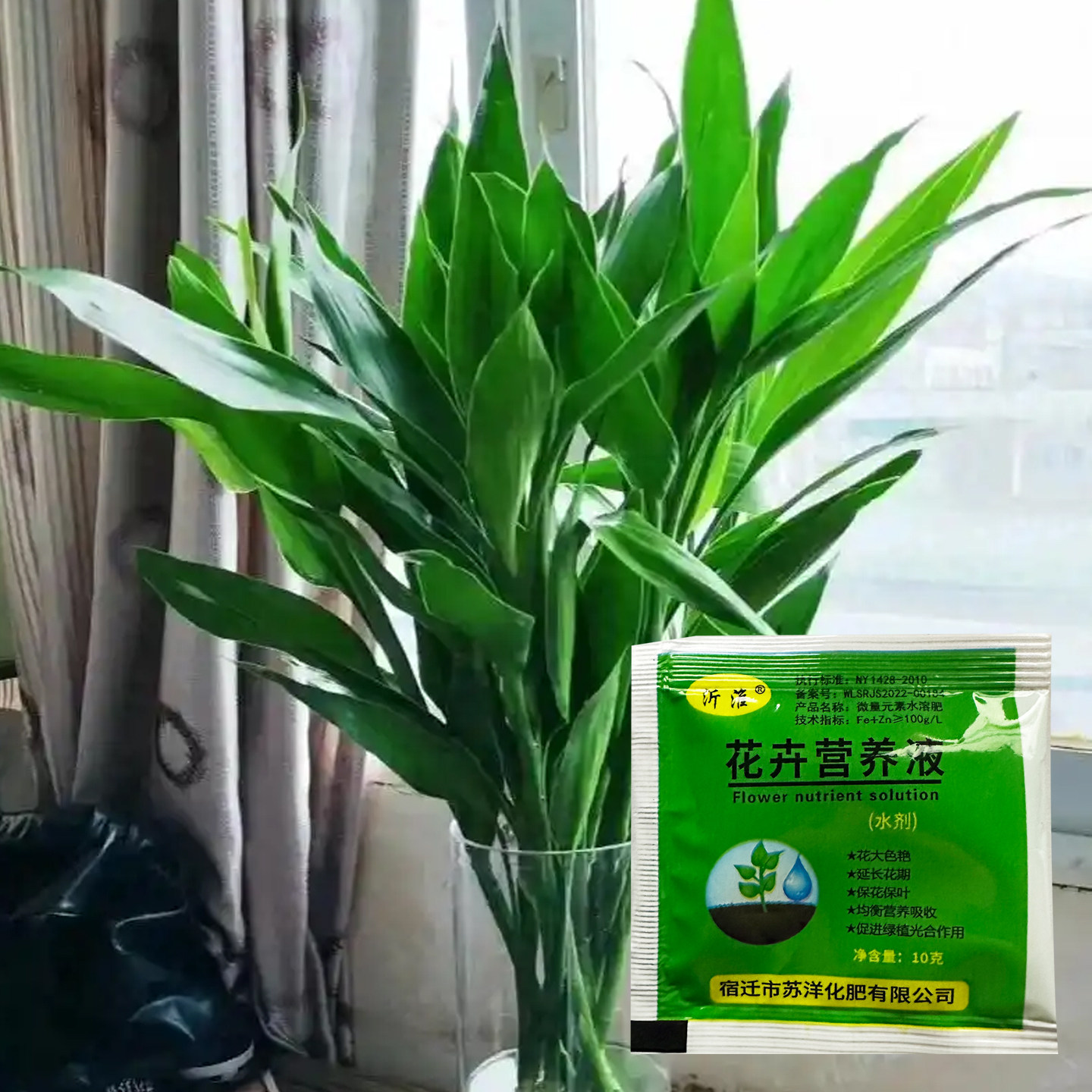 50包营养液植物花卉通用型 花肥料盆栽地栽 水培绿萝富贵竹水溶性