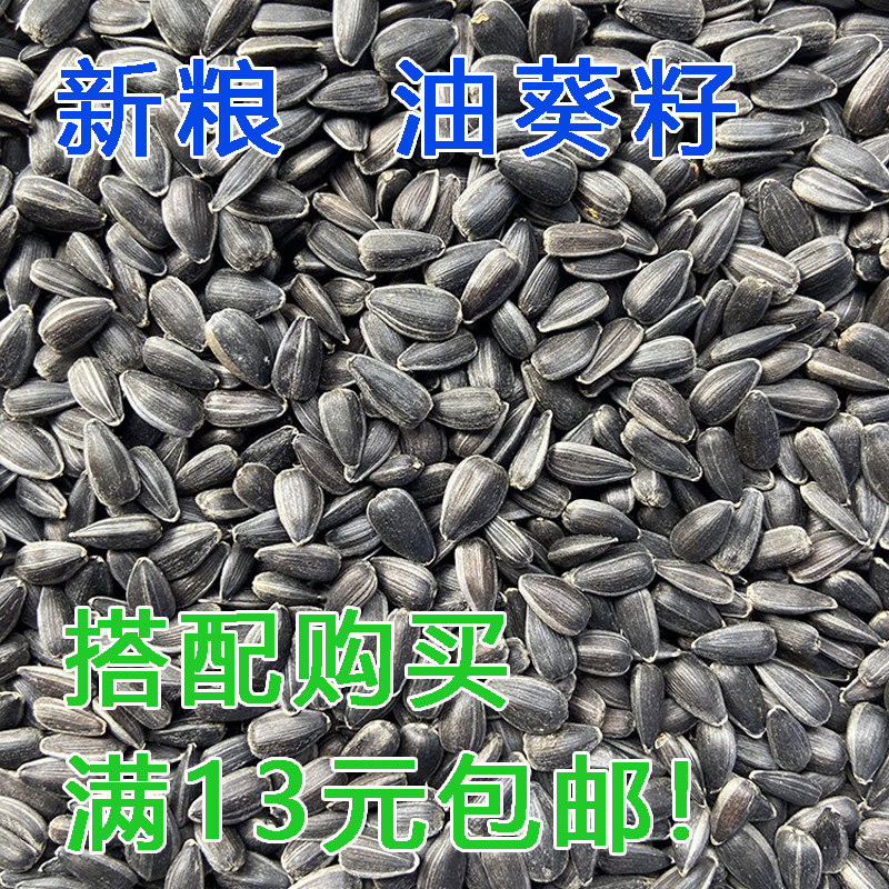 生黑珍珠小瓜子 油葵籽 鹦鹉鸟食 仓鼠零食鸟粮饲料仓鼠零食 鸽粮