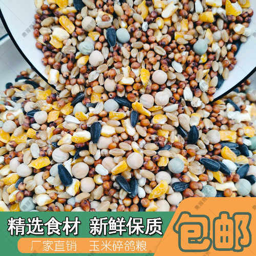 鸽粮有玉米营养赛飞饲料信观赏鸽子粮食鸟食包邮小颗粒