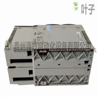 SCHNEIDER AS-B826-032数字输出模块