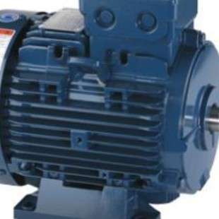 韩国HYOSUNG电机 TEFC 180L 22KW 3P/220V/380V/60HZ