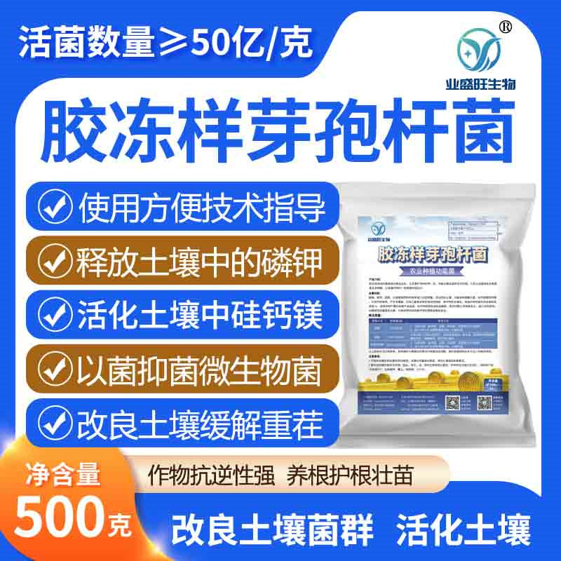 50亿/克胶质芽孢杆菌胶冻样芽孢杆菌硅酸盐细菌活孢子原菌粉解钾