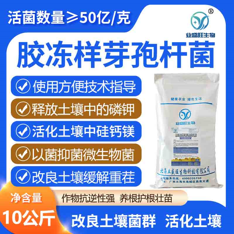 解磷钾固氮业盛旺胶冻样芽孢杆菌