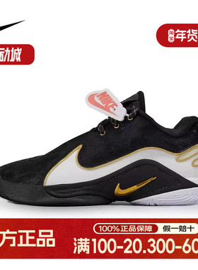 Nike耐克LEBRON 22詹姆斯黑白鸳鸯新款男子实战篮球鞋HV8453-100