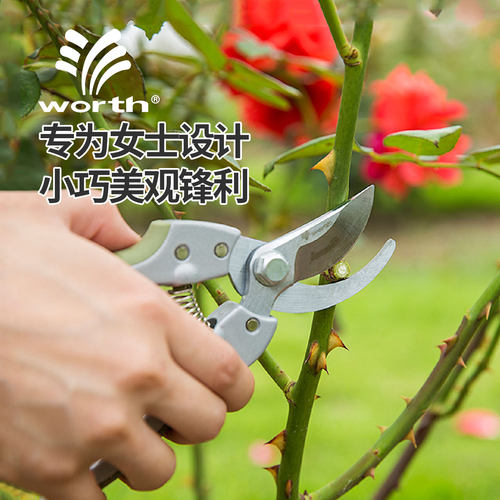 沃施修枝剪盆栽花枝果树修剪刀