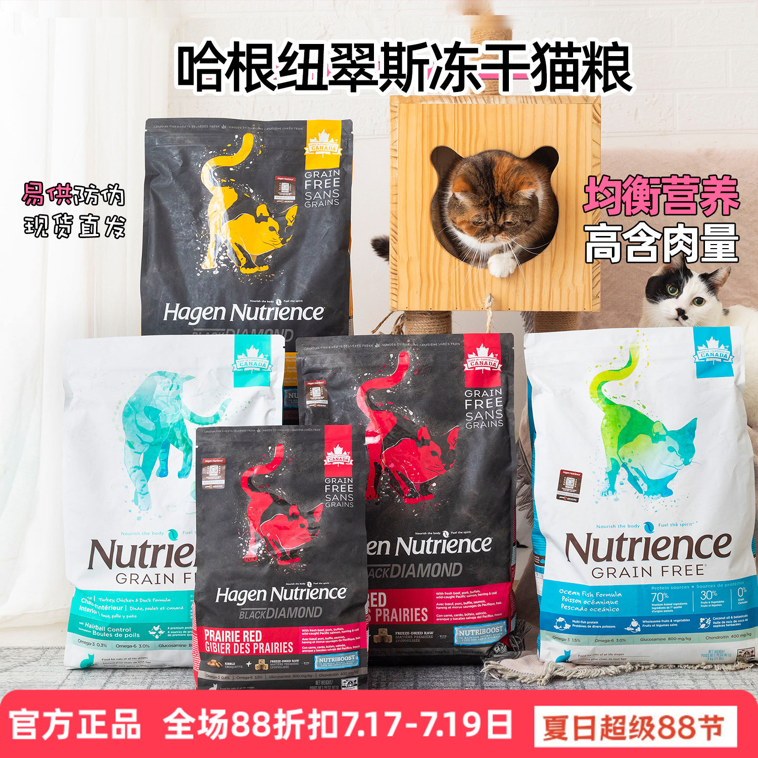 哈根纽翠斯黑钻肉鸡猫粮天然无谷