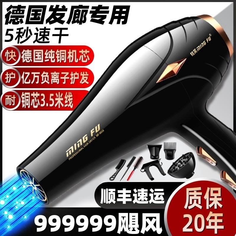 德国电吹风机家用大功率发廊专用发速干风筒理发店9999w负离子护
