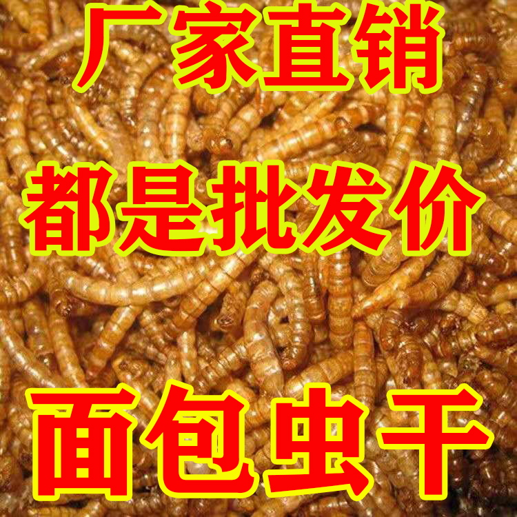 黄粉仓鼠宠物零食500g面包虫干