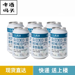 大九意想指南柏林酸小麦啤酒金桔柠檬酸啤酒330ml*6罐