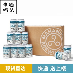 大九意想指南柏林酸小麦啤酒金桔柠檬酸啤酒330ml*24罐整箱