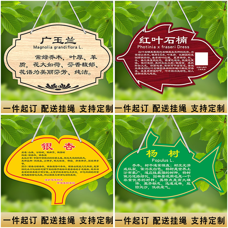 树牌挂牌定制植树节户外树木花草标识牌景区爱护树绿化提示吊牌幼儿园
