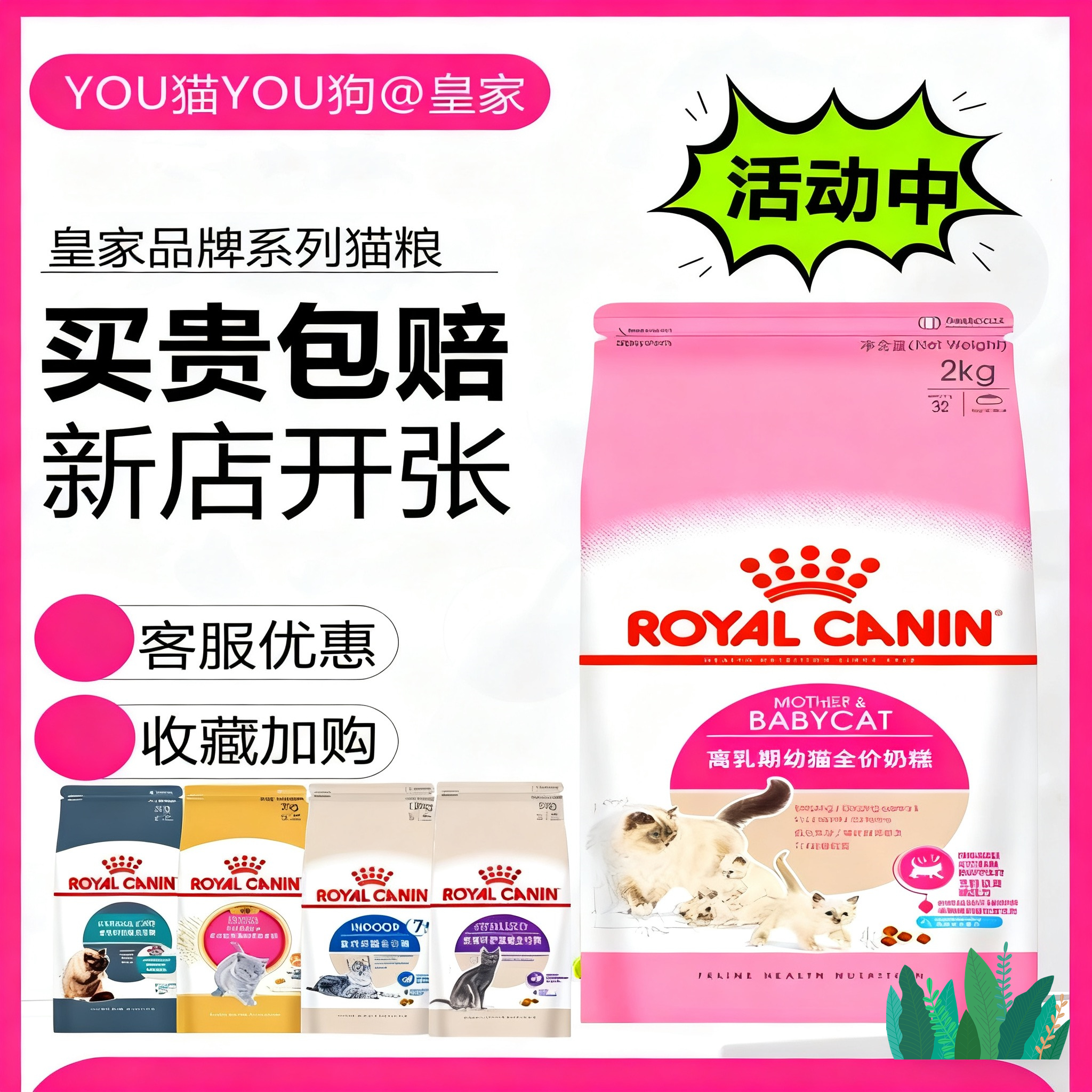 皇家k36猫粮幼猫离乳期奶糕bk34