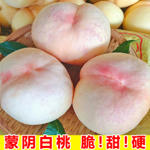 桃子新鲜水果蒙阴白桃超甜水蜜桃时令当季毛桃硬桃脆甜大脆桃5斤