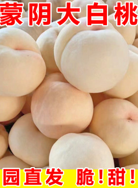 蒙阴脆甜大白桃果园直发