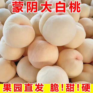 桃子新鲜水果蒙阴白桃水蜜桃时令当季毛桃硬桃脆甜大脆桃5斤