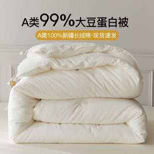 大豆被冬季 大豆纤维被加厚10斤 被子冬被全棉a99%保暖被芯2025新款