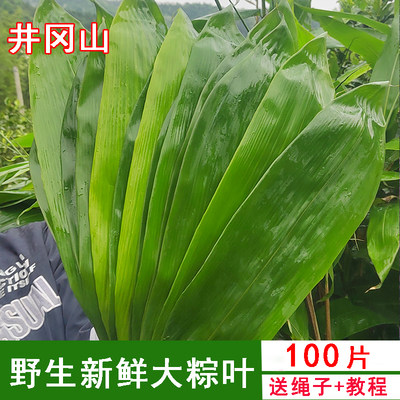 特大新鲜粽子叶100片送运费险