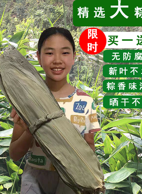 江西粽子叶野生粽叶干大号特大棕叶无防腐剂家用新鲜大粽叶子竹叶