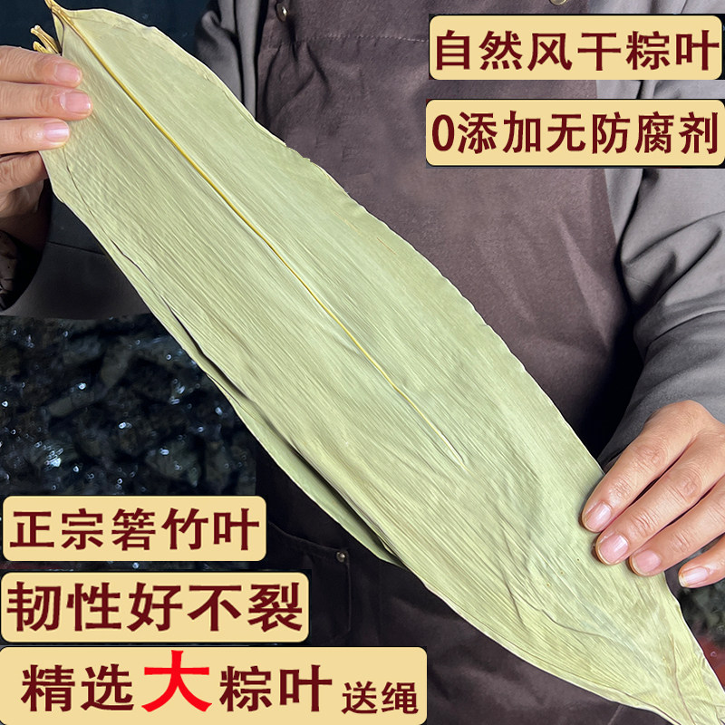 野生干粽叶端午包粽子专用特大号香粽叶江西箬竹叶新鲜风干粽子叶