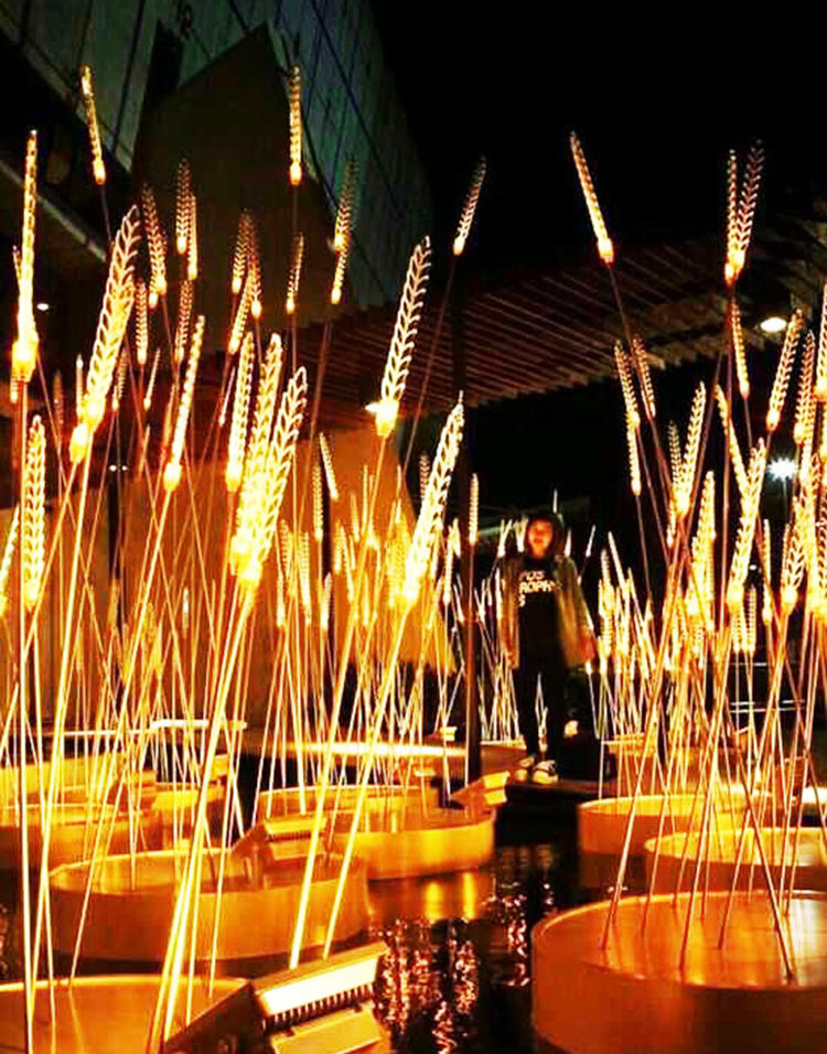 led麦穗灯防水金穗发光芦苇灯灯光美陈夜景亮化亚克力麦子小麦灯