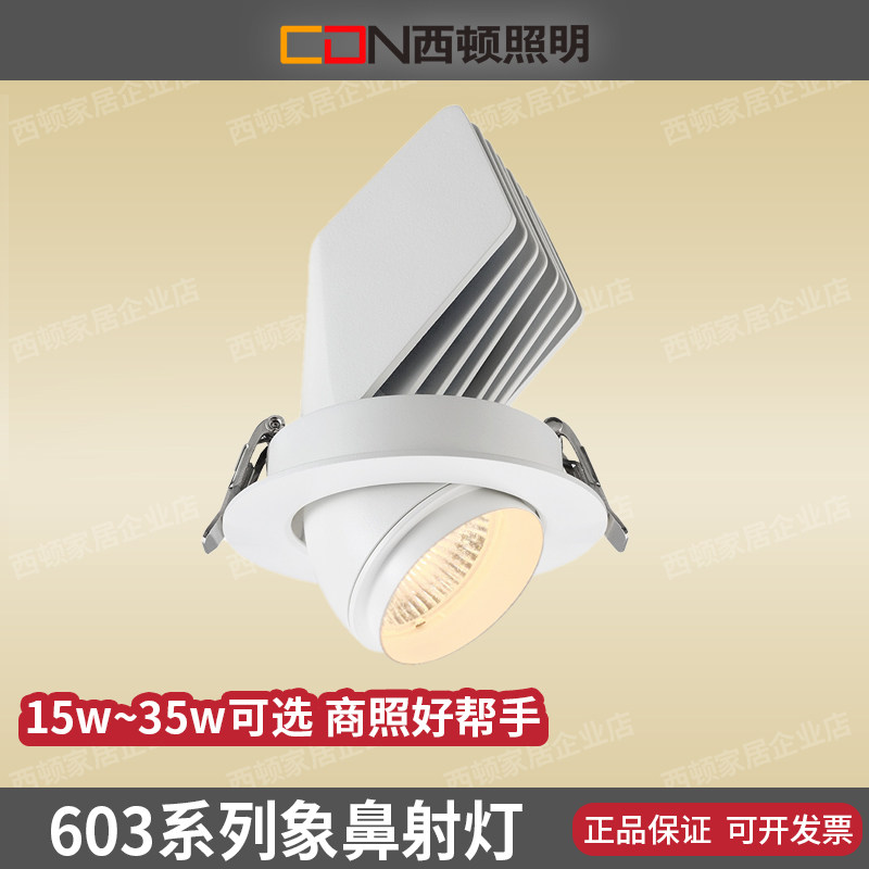 西顿可拉伸嵌入式象鼻灯