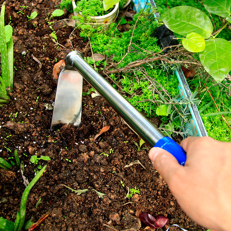 不锈钢小锄头种花种菜工具农具家用儿童挖红薯地瓜锄头松土翻土锄 鲜花速递/花卉仿真/绿植园艺 锄头 原图主图