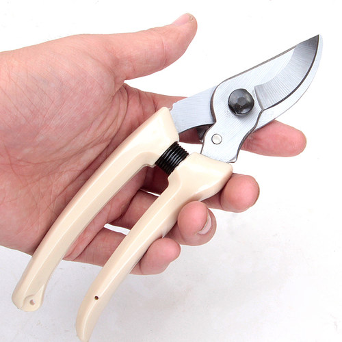 园艺剪刀摘果树枝家用