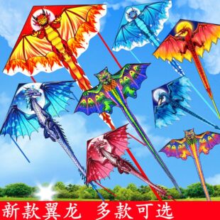 潍坊儿童三角风筝1.6米恐翼龙格子布热印好飞好带户外亲子玩