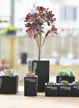 现代简约多肉植物盆栽长方水泥透气黑色可爱方口圆形花盆一个包邮