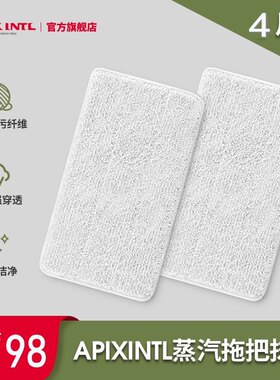 日本安本素电动清洁机蒸汽拖把