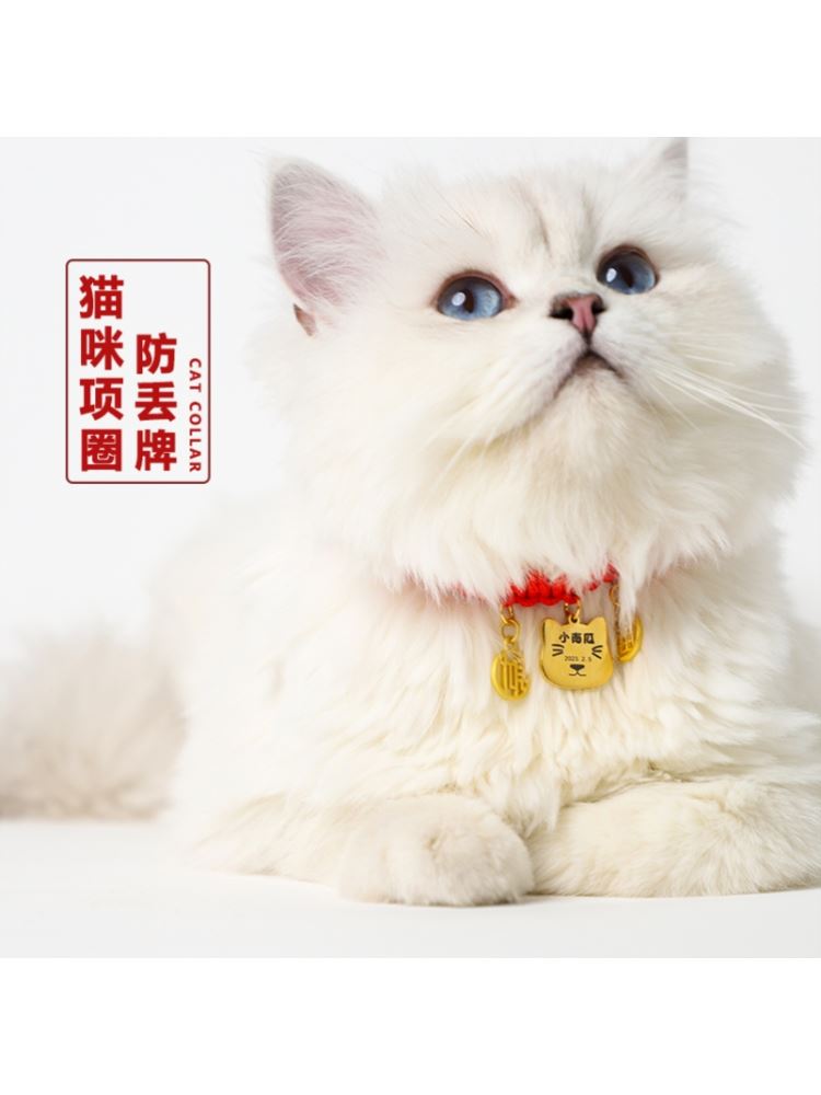 防走丢编织刻名字猫咪脖猫咪项圈防丢失圈小狗牌定制宠物用品猫牌