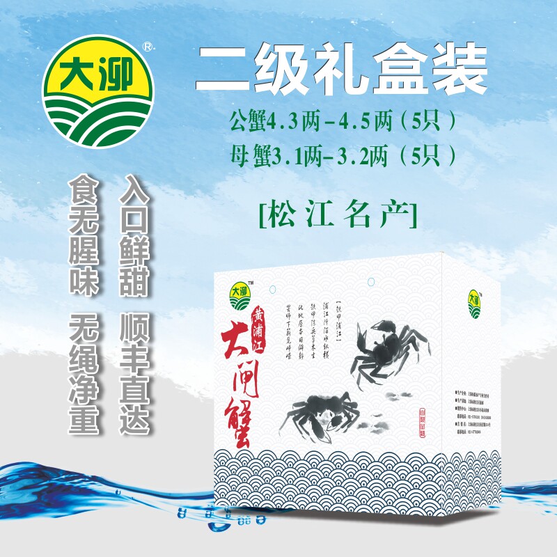 上海黄浦江大闸蟹大泖鲜活本地