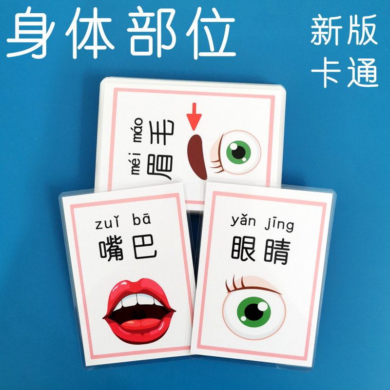 宝宝认知早教益智卡片身体各部位