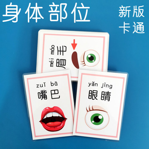 宝宝认知早教益智卡片身体各部位