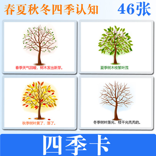 认知春夏秋冬节日节气四季卡片