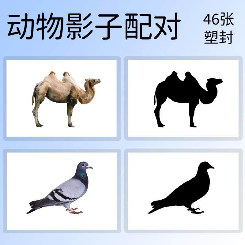 动物影子轮廓图自闭症卡片