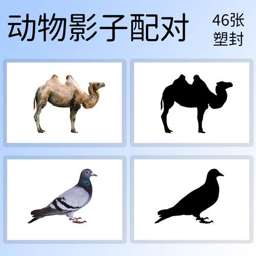 动物影子轮廓图自闭症卡片