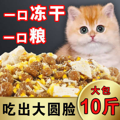 鲜肉猫粮幼猫成猫大袋猫