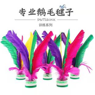 毽子成人小学生毽球耐踢幼儿园女羽毛腱子运动比赛专用鸡鹅毛键子