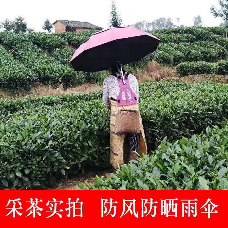 头顶采茶雨伞可背式遮阳伞户外热卖双肩防紫外线钓鱼折叠太晴黑胶