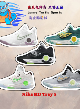 耐克Nike KD Tery 5 男子减震运动休闲实战鞋篮球鞋