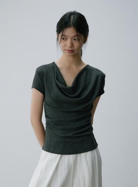 kani 深麻灰色短袖t恤女轻熟荡领高级感修身收腰短上衣设计感小众