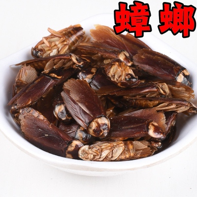 中药材干蟑螂 偷油婆 美洲大蜚蠊 茶婆虫 香娘子250克包邮