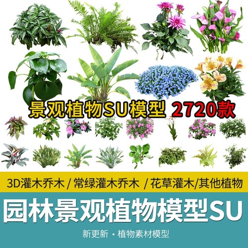 2D3D园林景观植物花草树木乔木花卉灌木sketchup草图大师SU模型库