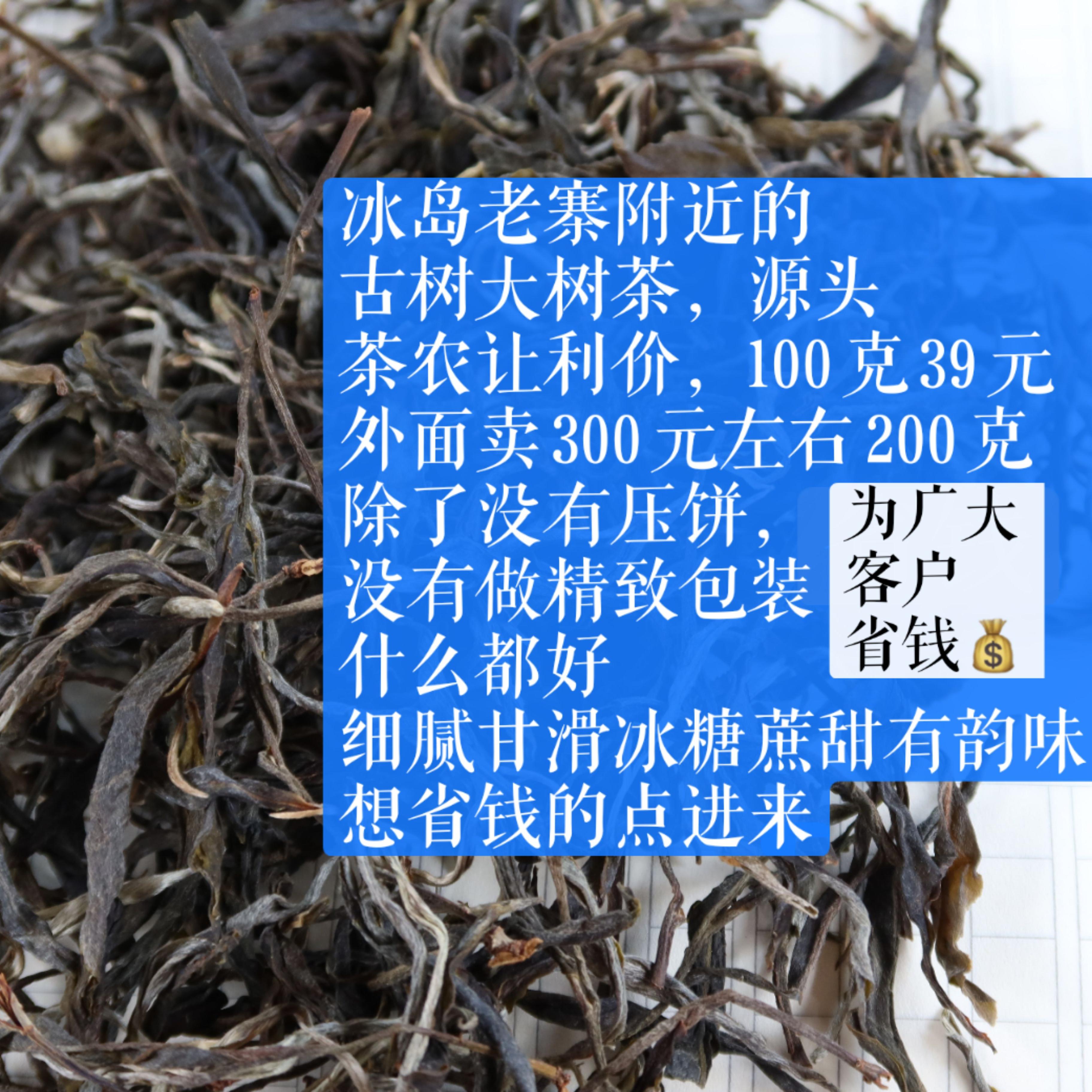 冰岛老寨附近古树大树  为广大客户省钱链接  真品质 真实惠 源头
