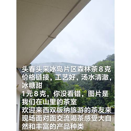看图片介绍，8克价格链接，冰岛片区森林茶，非台地口感冰清玉洁