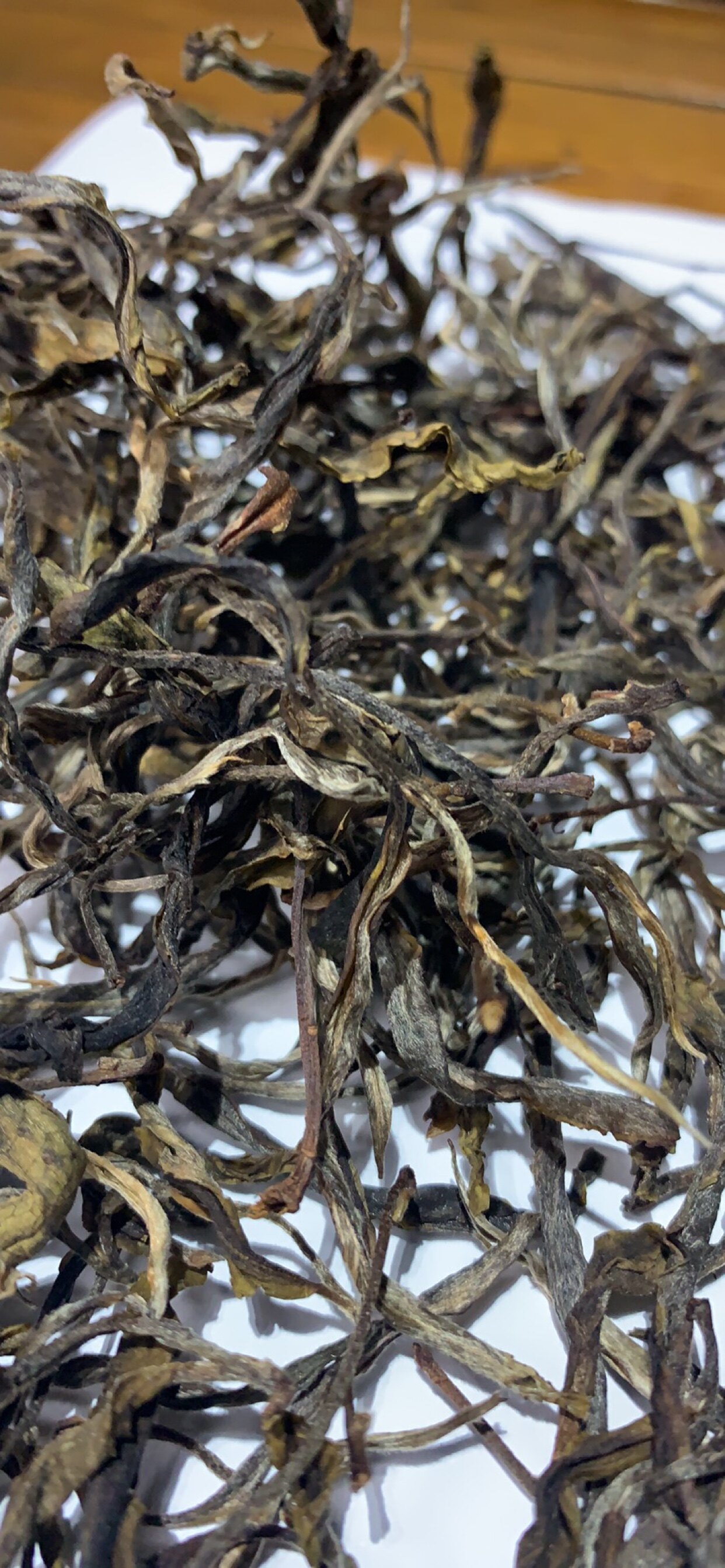 一扇磨高杆古树 500克 价格 真货易武森林古树茶