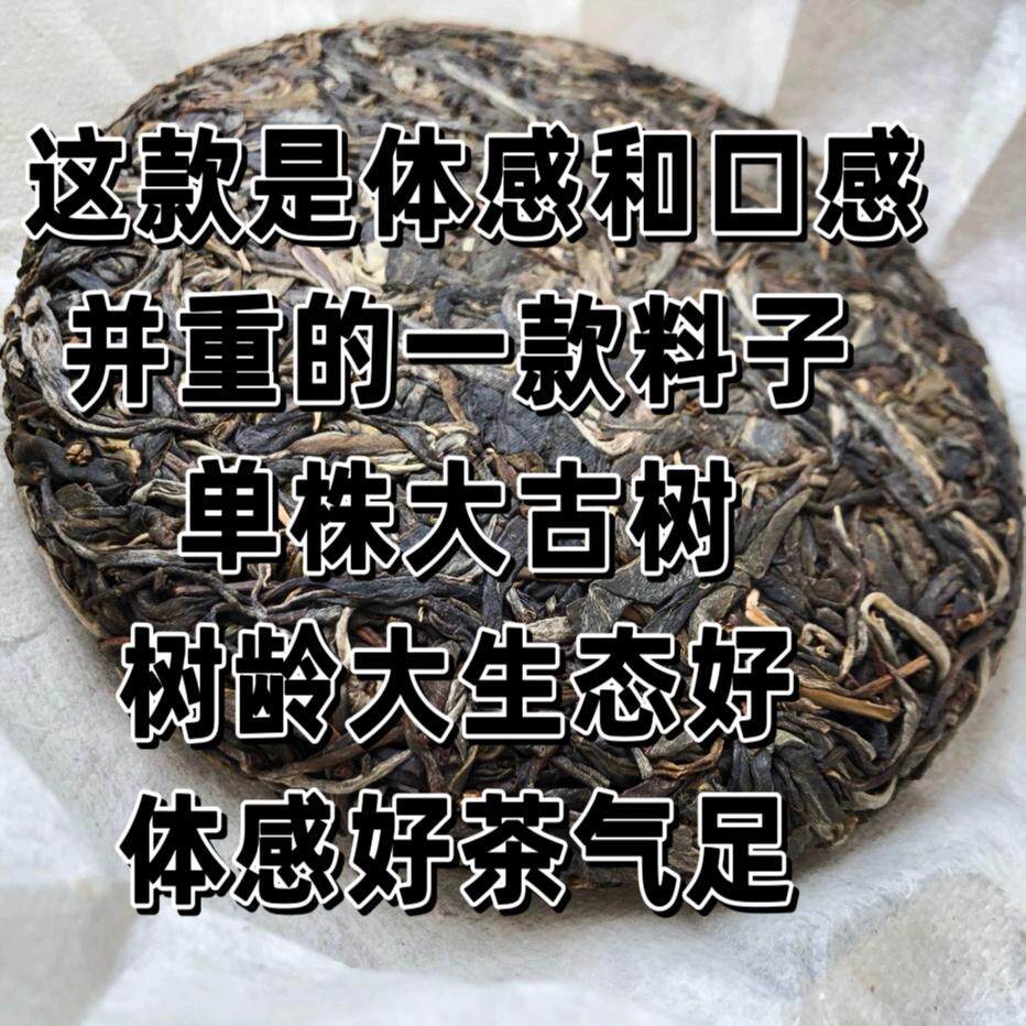 真炁古树 200克的价格 脸耳头发热 气感强烈喝神韵灵炁的一款茶