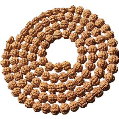 节节福小金刚菩提子1108双龙纹